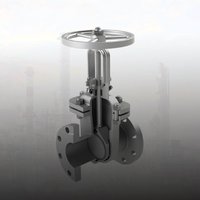 Задвижка ЗК50х40-Ф-Х-К0/6-К48/РМ/Н/С0 клиновая