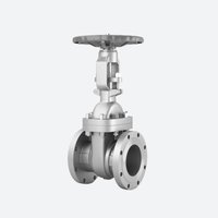 Задвижка клиновая DN 50 PN 1,6 Мпа по ОТТ Транснефть