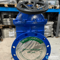 Задвижка чугунная с обрезиненным клином 30ч39р - Ду 250 Ру 10