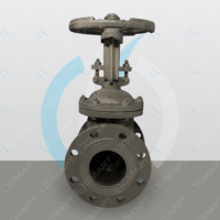 Задвижка стальная клиновая с ручным приводом 30с64нж - Ду 100